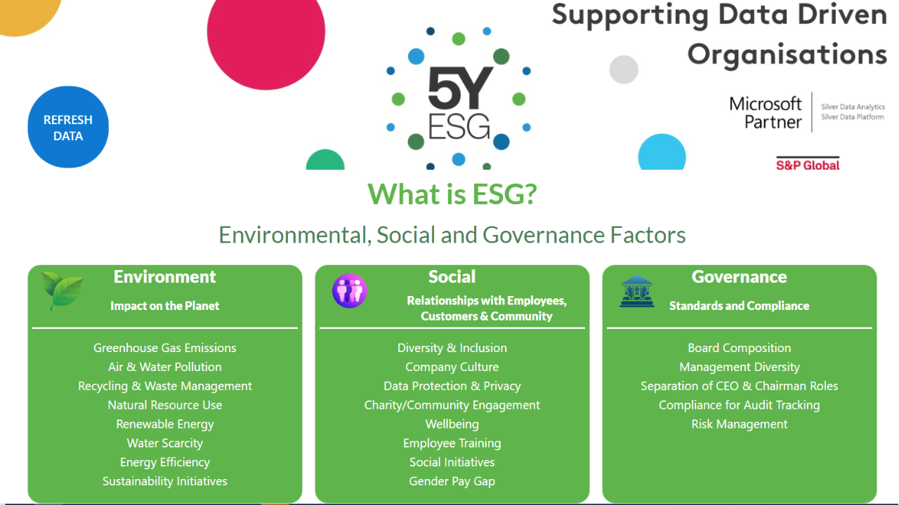 screenshot of 5Y ESG